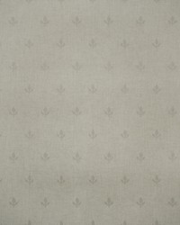 CROCUS AMW10077 11 MARL by   