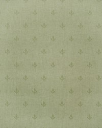 CROCUS AMW10077 3 LEAF by   