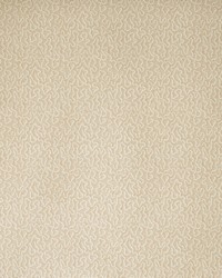 MOSS AMW10079 112 PLASTER by   