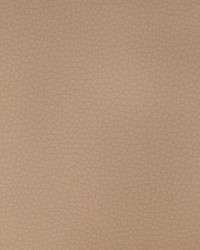 KRAVET DESIGN ARENI 1101 by  Stout 