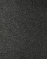 KRAVET DESIGN ARISTIDES 8 by  Kravet 