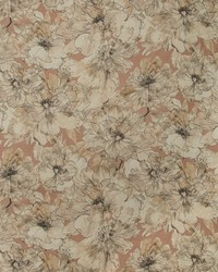 Ayrlies 17 Blush/natural by   