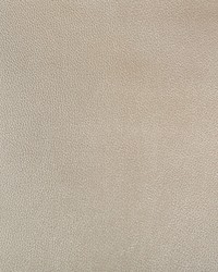 KRAVET DESIGN AZERI 16 by   