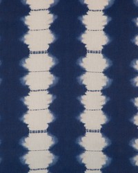 Beachpoint 5 Ink by  Kravet 