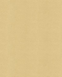 Beautymark 1116 Sand by   