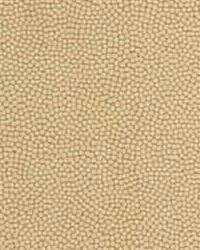 Beautymark 16 Sandstone by   