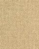 Kravet BEAUTYMARK SANDSTONE
