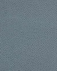 Beautymark 21 Shale by   