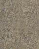 Kravet BEAUTYMARK UMBER