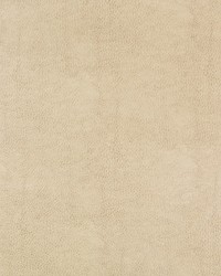 KRAVET DESIGN BEHOLDER 116 by   