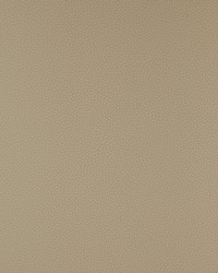 KRAVET DESIGN BIND 11 by  Stout 