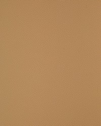 KRAVET DESIGN BIND 116 by  Stout 