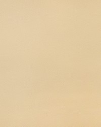 KRAVET DESIGN BIND 16 by  Stout 