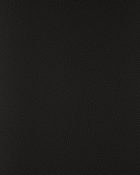 KRAVET DESIGN BIND 811 by  Stout 