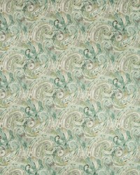 KRAVET BASICS BOAST 311 by  Kravet 