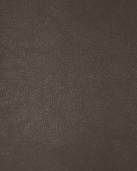 KRAVET DESIGN BOND 21 by  Stout 