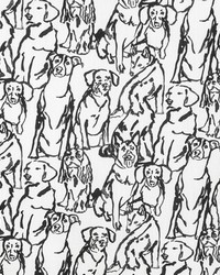 KRAVET BASICS BUDDY 1101 by  Kravet 