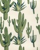 Kravet CACTI LAND AGAVE