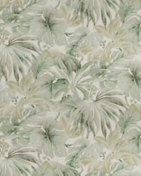 KRAVET BASICS CARLES 23 by  Kravet 