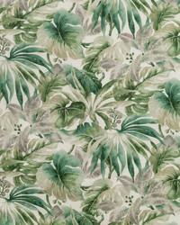 KRAVET BASICS CARLES 3 by  Kravet 