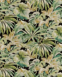 KRAVET BASICS CARLES 830 by  Kravet 