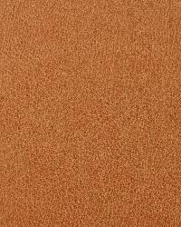 Caswell 12  by  Kravet 