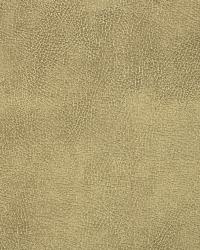 Caswell 16  by  Kravet 