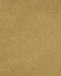 Caswell 4  by  Kravet 