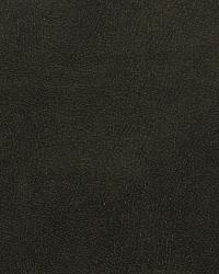 Caswell 66  by  Kravet 