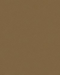 Chadrick Chadrick.106 by   