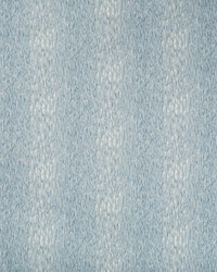 Chromis 15 Reflection by   