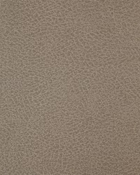 KRAVET DESIGN CRISP 11 by  Stout 