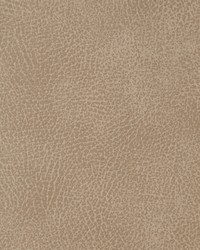 KRAVET DESIGN CRISP 1101 by  Stout 