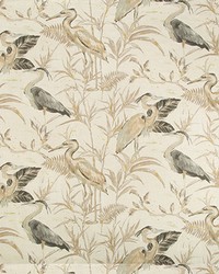 CURLIN 106 by  Kravet 