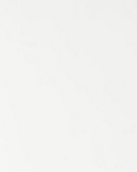 Daytripper 101 Go Go by  Kravet 