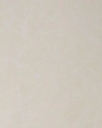 Daytripper 116 Fog by  Kravet 