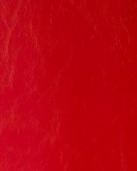 Daytripper 19 Cherry Bomb by  Kravet 