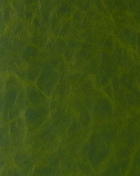 Daytripper 3 Jungle Love by  Kravet 