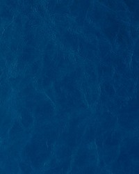 Daytripper 5 Blue Note by  Kravet 