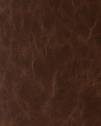 Daytripper 6 Hot Chocolate by  Kravet 