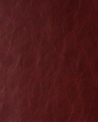 Daytripper 924 Marooned by  Kravet 