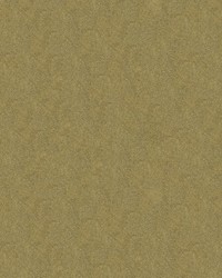 Debut 21 Pumice by  Kravet 