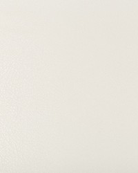 KRAVET DESIGN DEIMOS 1 by  Kravet 