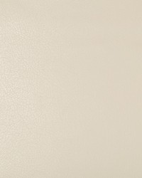 KRAVET DESIGN DEIMOS 116 by  Kravet 