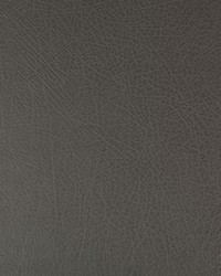 KRAVET DESIGN DEIMOS 21 by  Kravet 