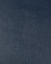 KRAVET DESIGN DEIMOS 50 by  Kravet 