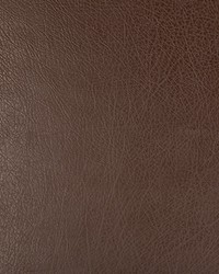 KRAVET DESIGN DEIMOS 6 by  Kravet 