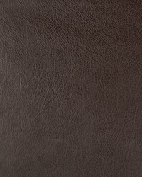 KRAVET DESIGN DEIMOS 66 by  Kravet 