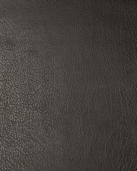 KRAVET DESIGN DEIMOS 68 by  Kravet 