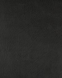 KRAVET DESIGN DEIMOS 8 by  Kravet 